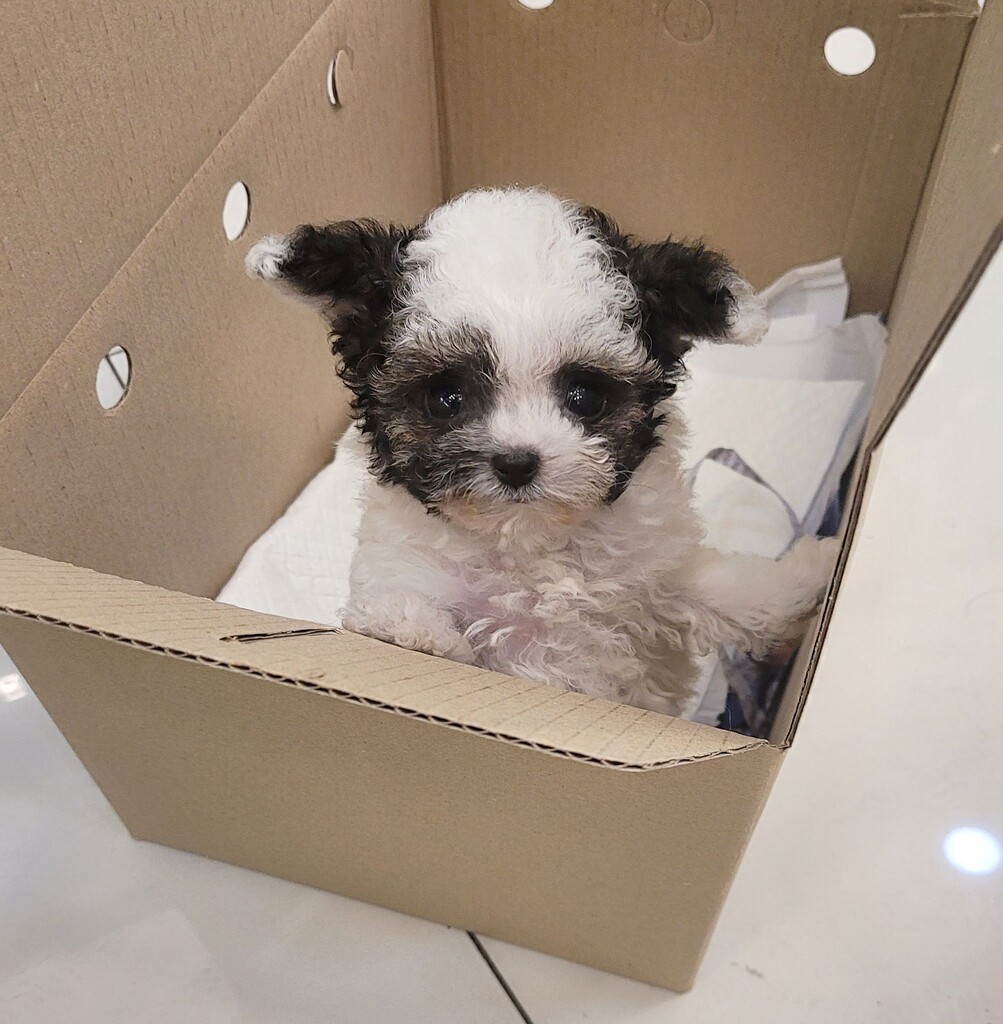 Ȯ�� �̹���