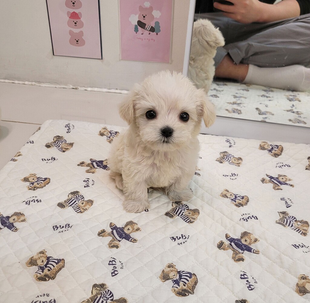 Ȯ�� �̹���