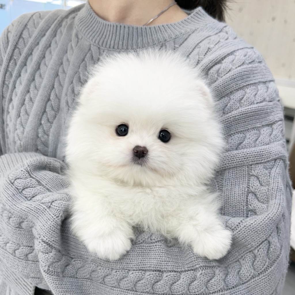 Ȯ�� �̹���