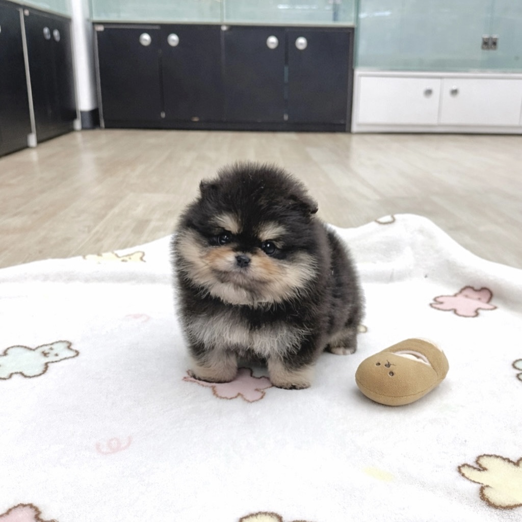 Ȯ�� �̹���