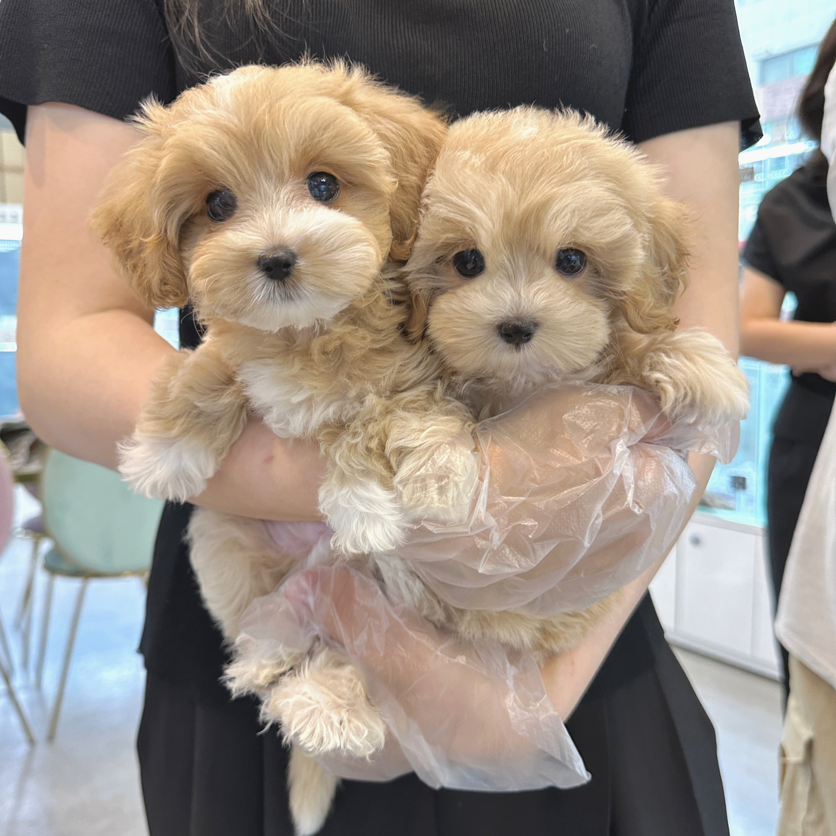 Ȯ�� �̹���