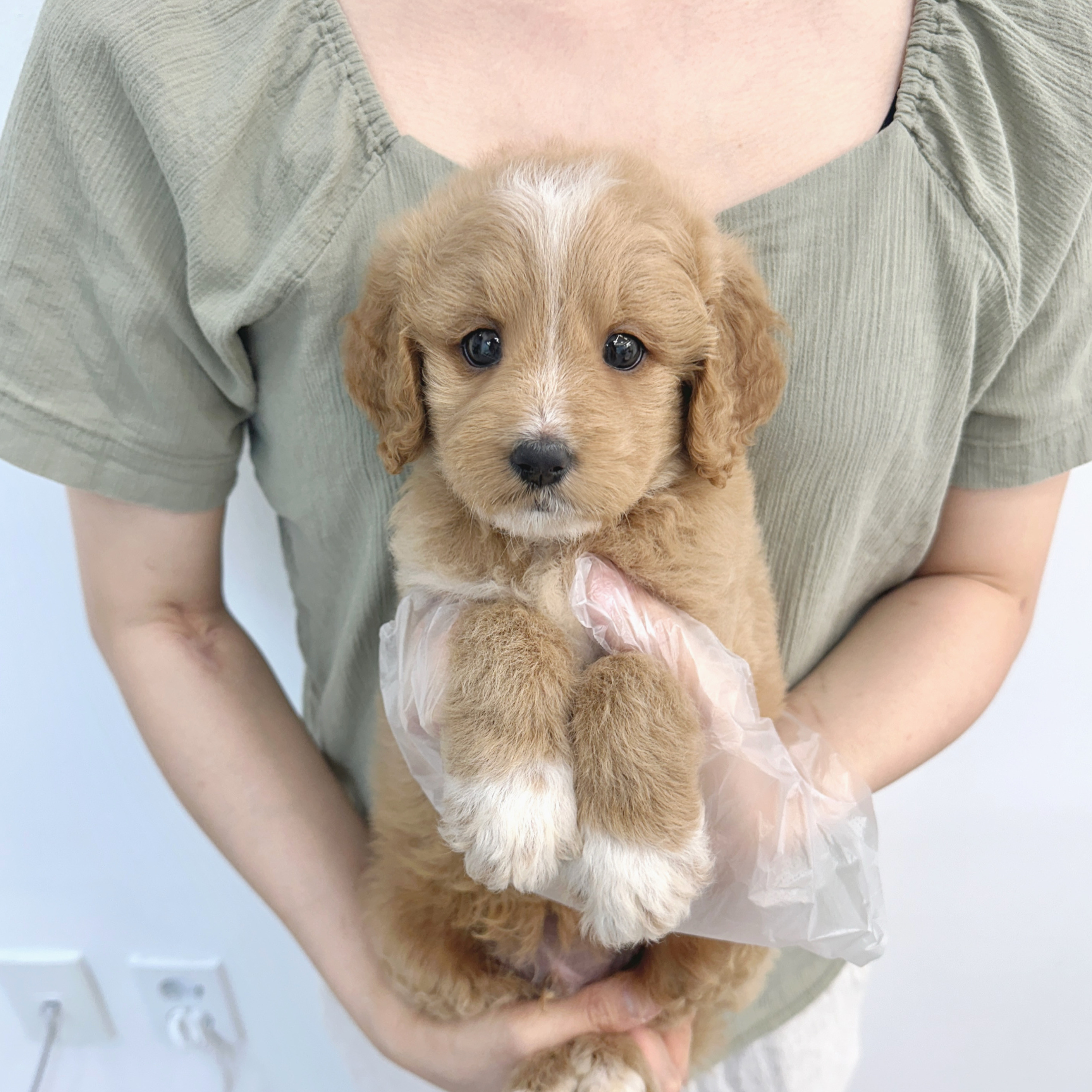 Ȯ�� �̹���