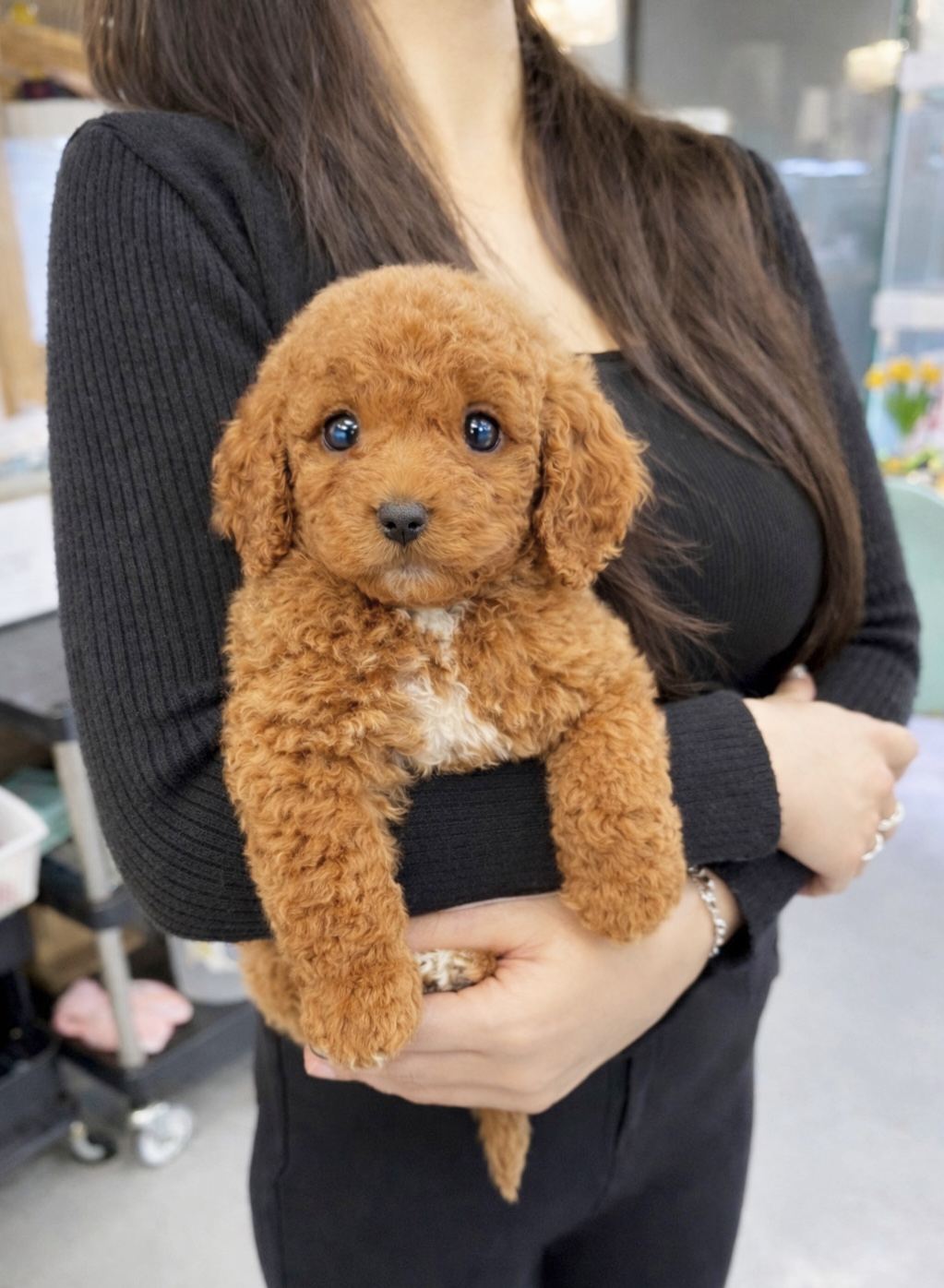 Ȯ�� �̹���