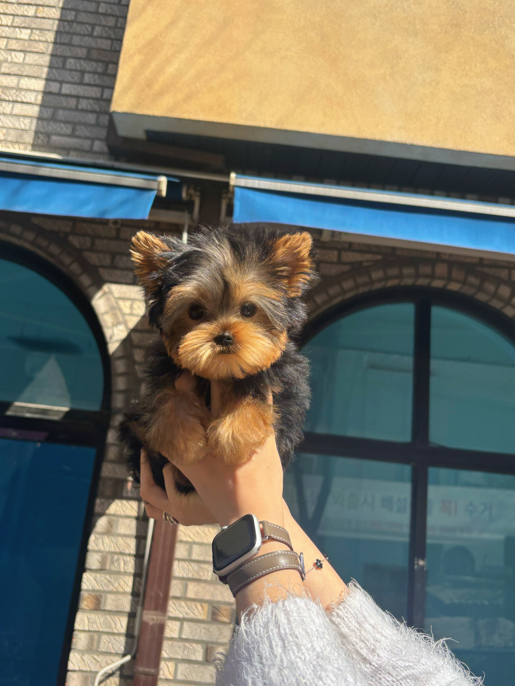 Ȯ�� �̹���