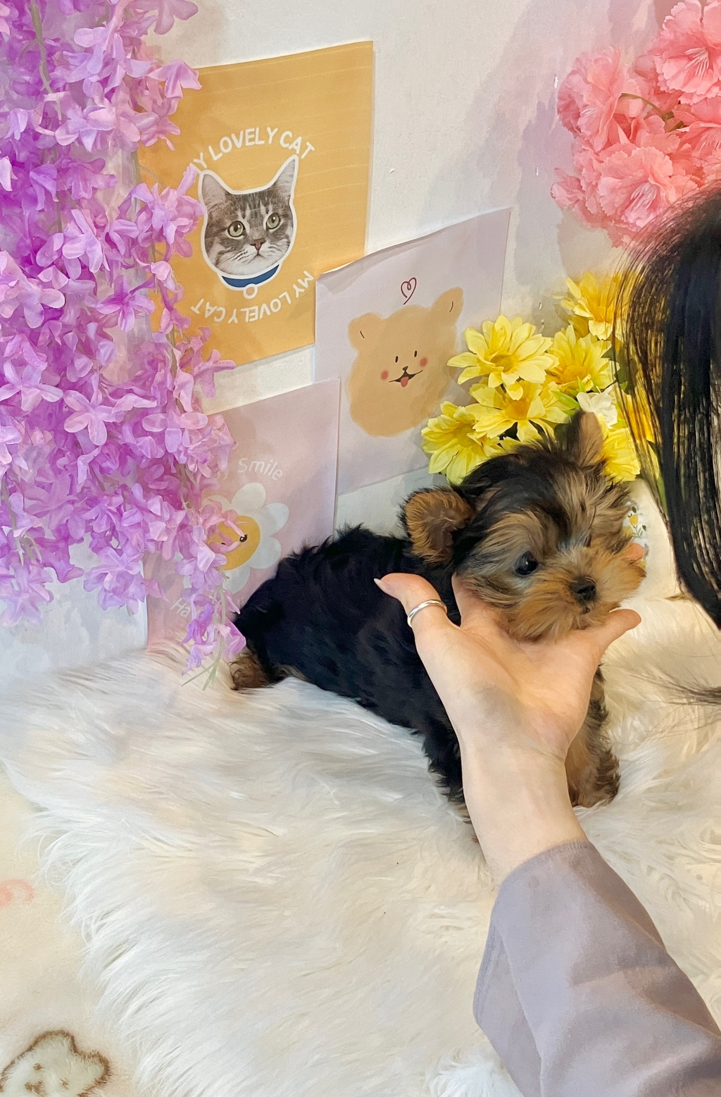 Ȯ�� �̹���