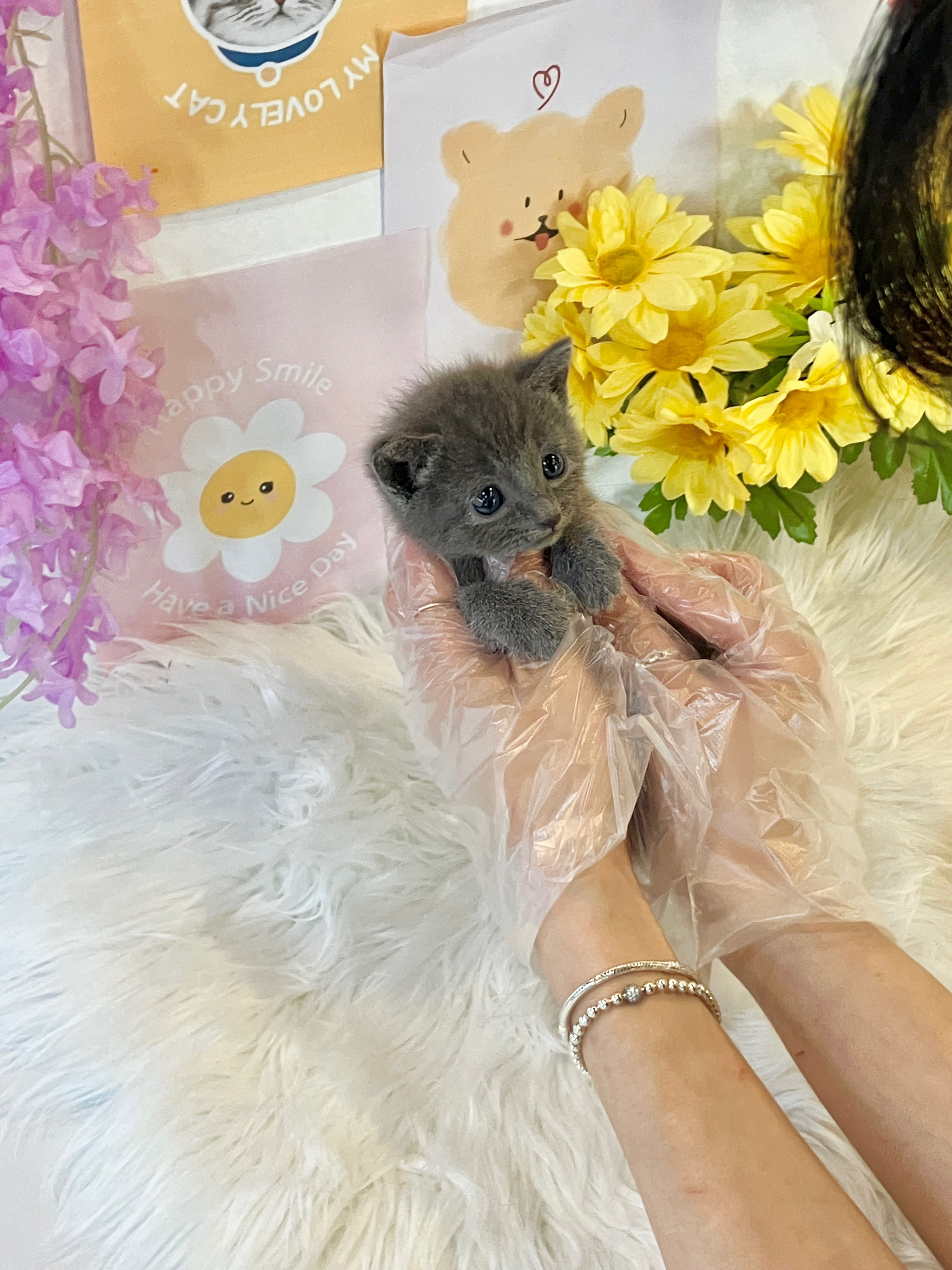 Ȯ�� �̹���