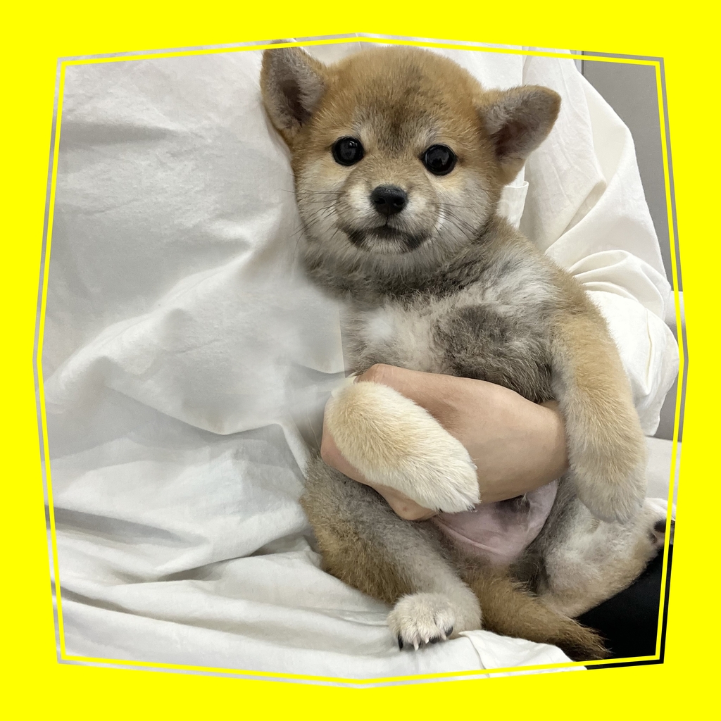 Ȯ�� �̹���