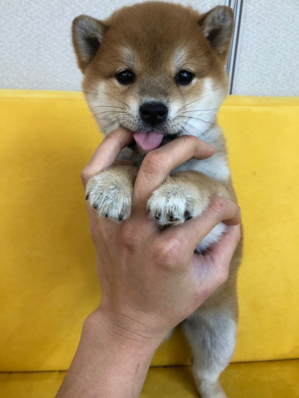 Ȯ�� �̹���