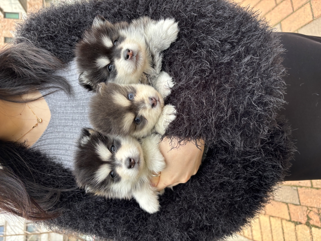 Ȯ�� �̹���