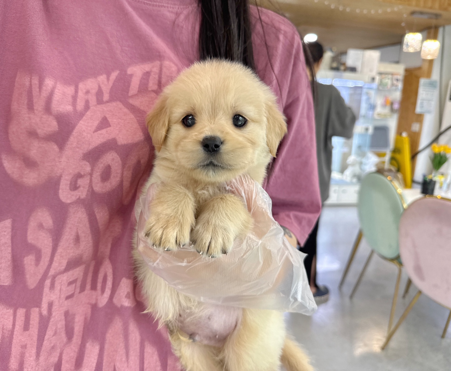 Ȯ�� �̹���