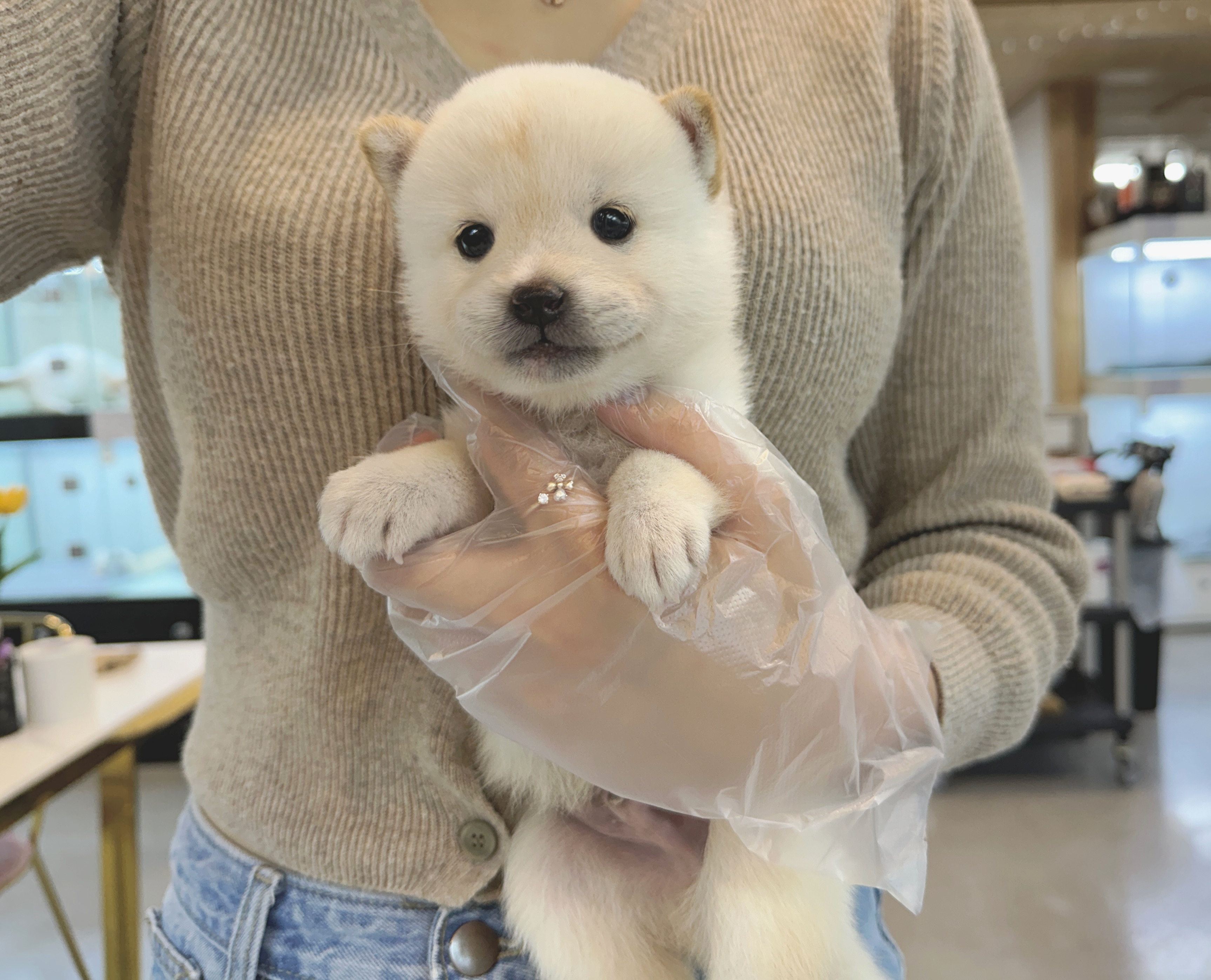 Ȯ�� �̹���