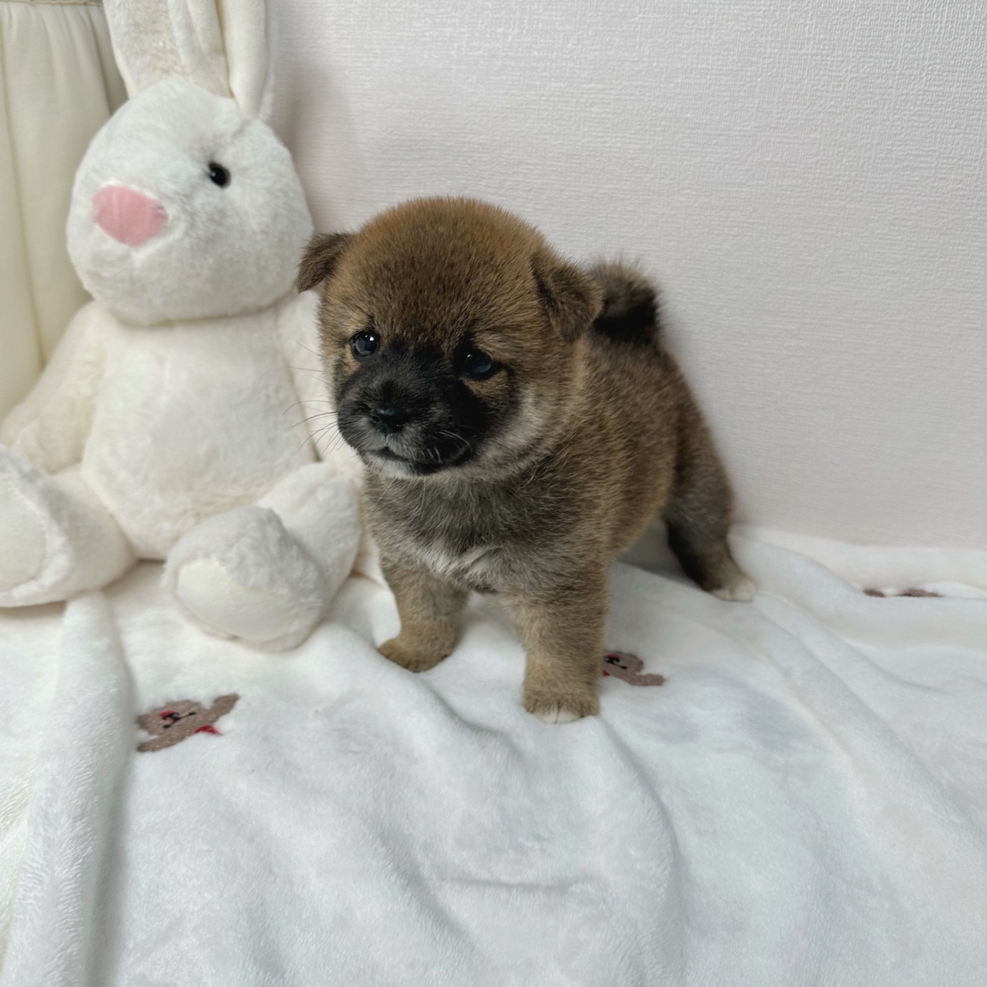 Ȯ�� �̹���