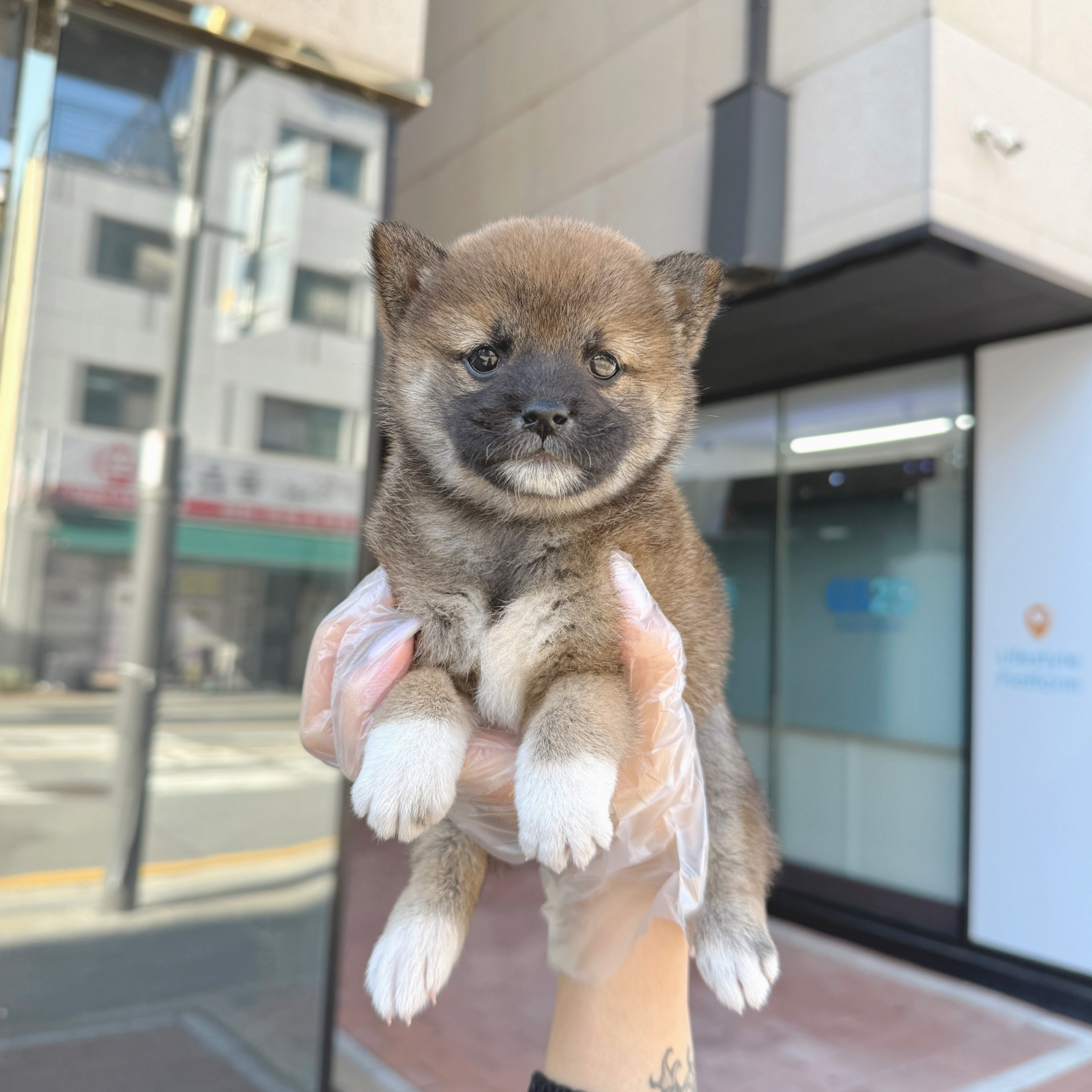 Ȯ�� �̹���