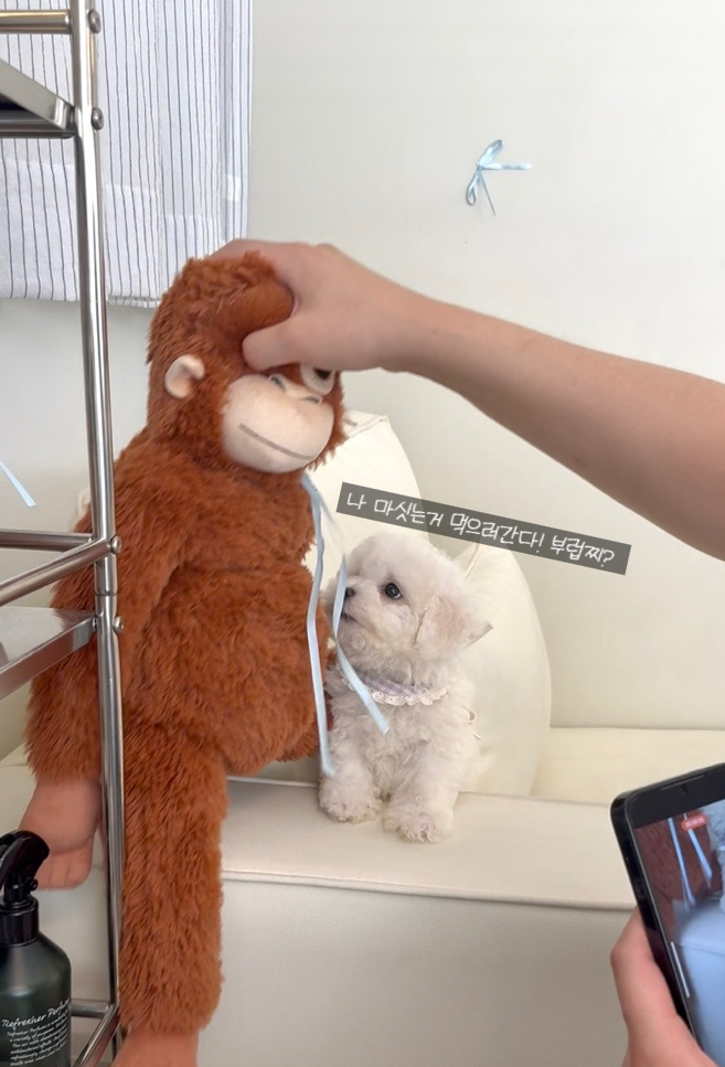 Ȯ�� �̹���