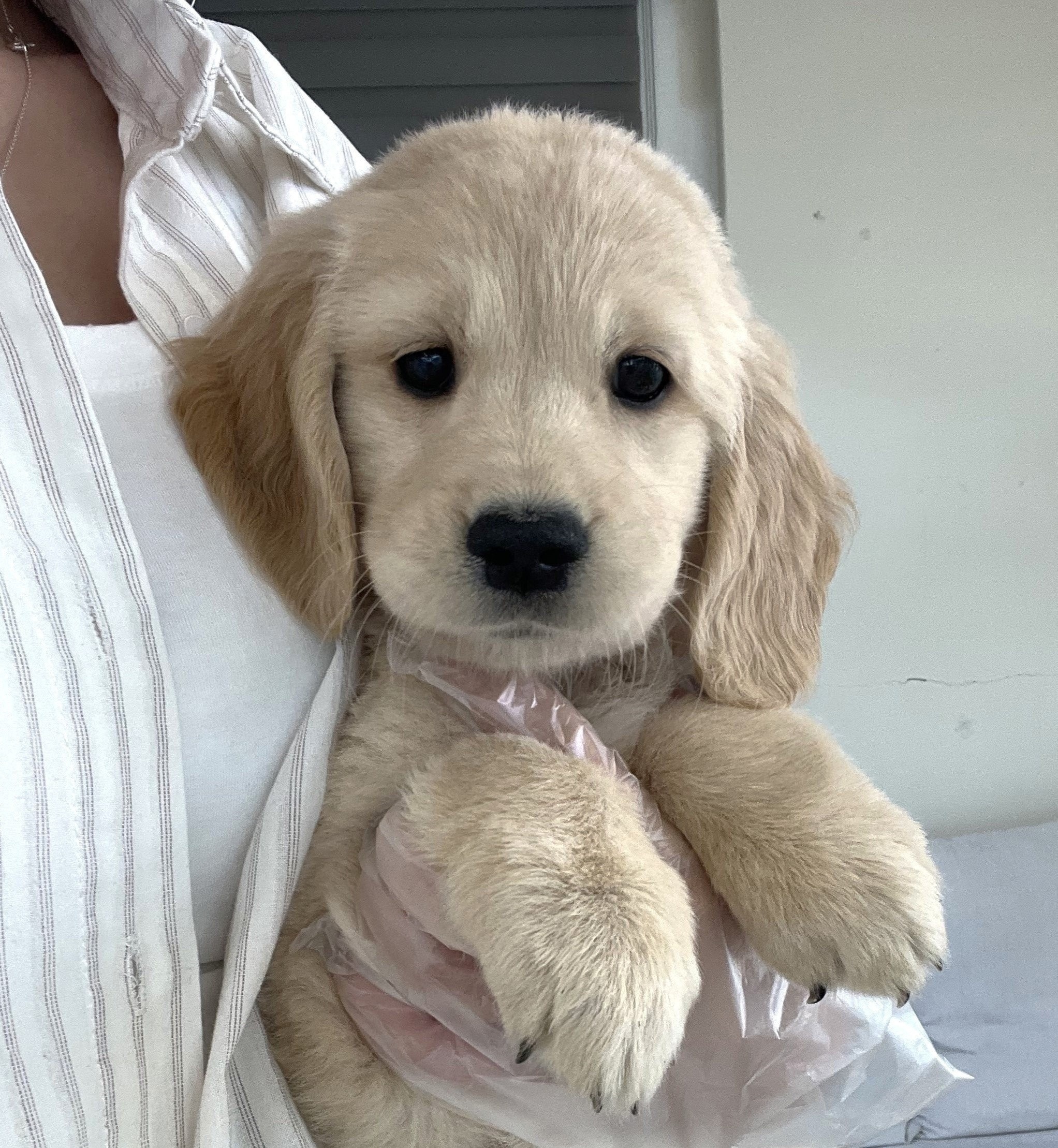 Ȯ�� �̹���