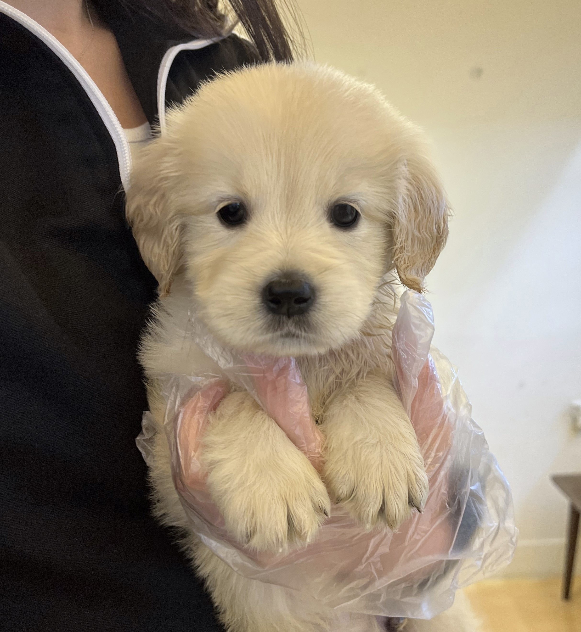 Ȯ�� �̹���