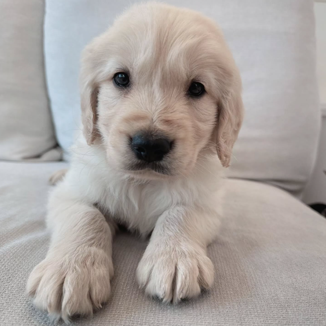 Ȯ�� �̹���