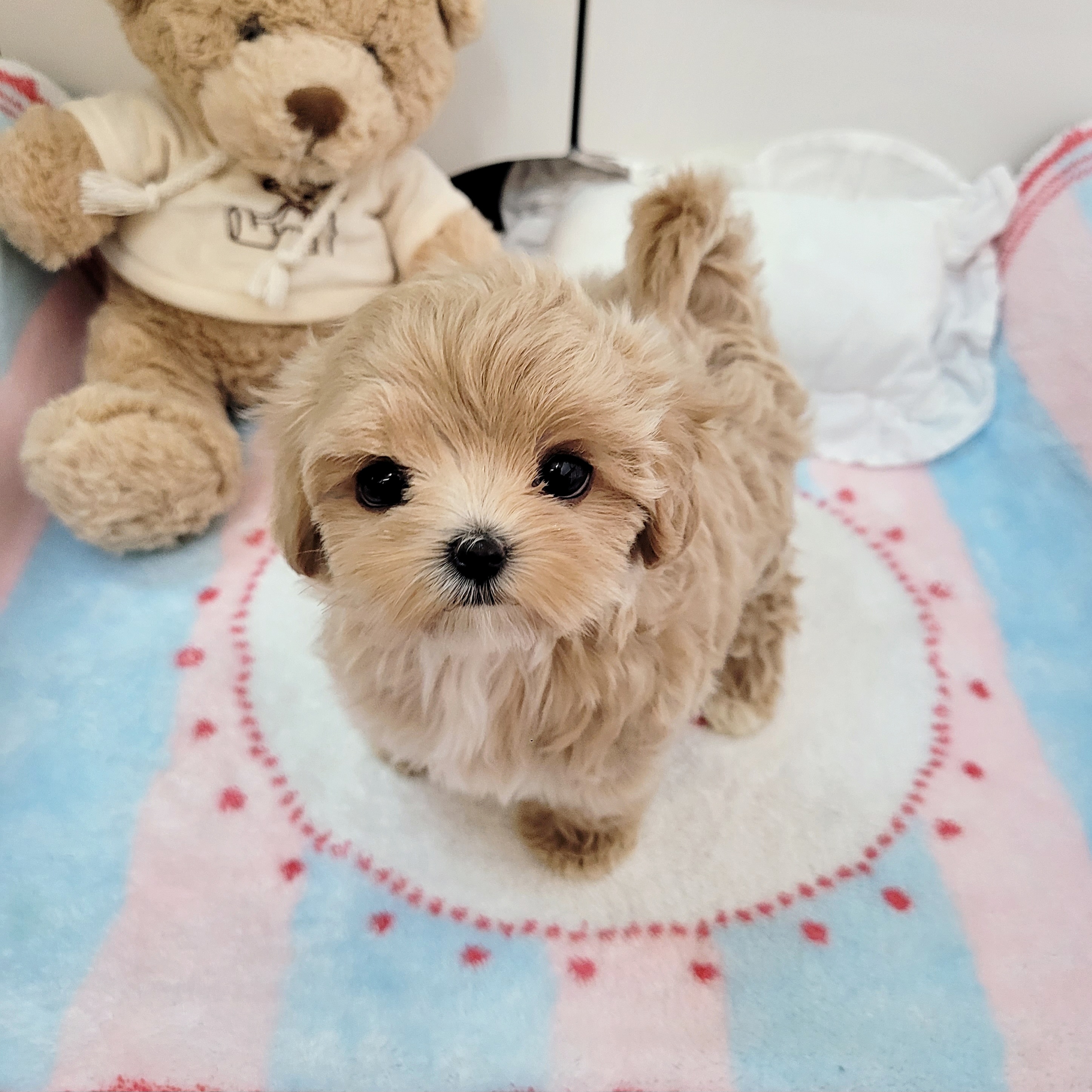 Ȯ�� �̹���