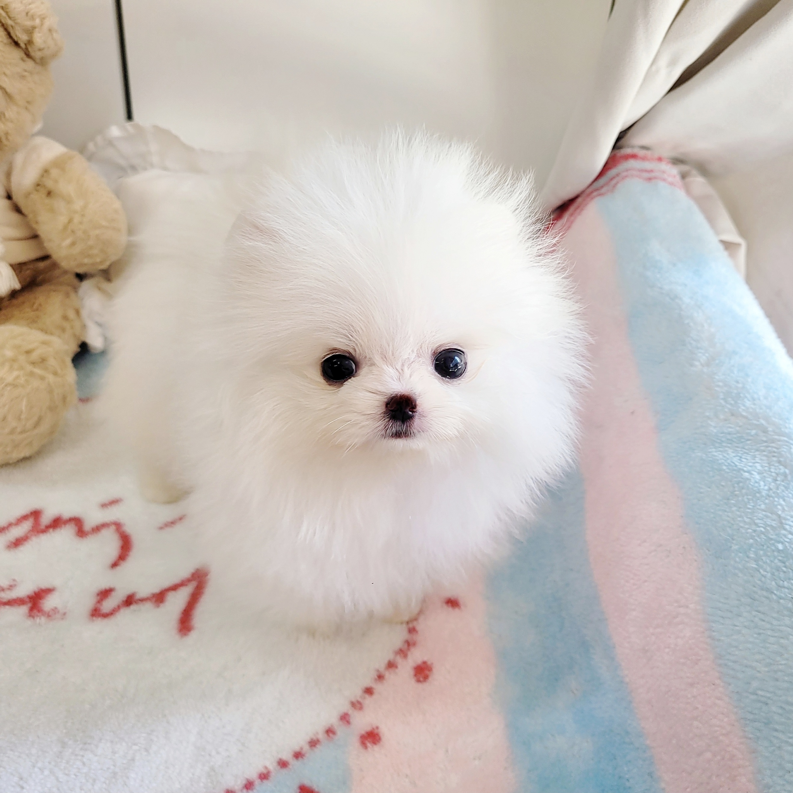 Ȯ�� �̹���