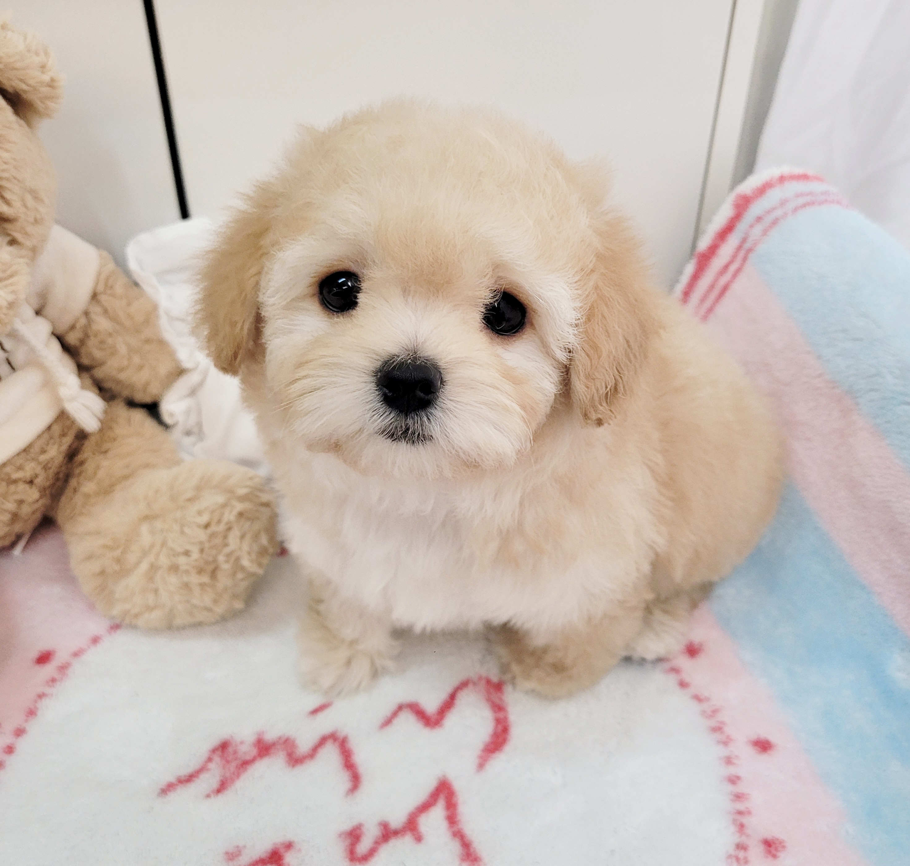 Ȯ�� �̹���