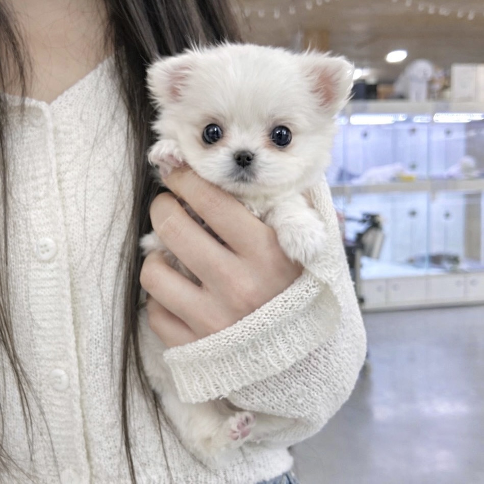 Ȯ�� �̹���