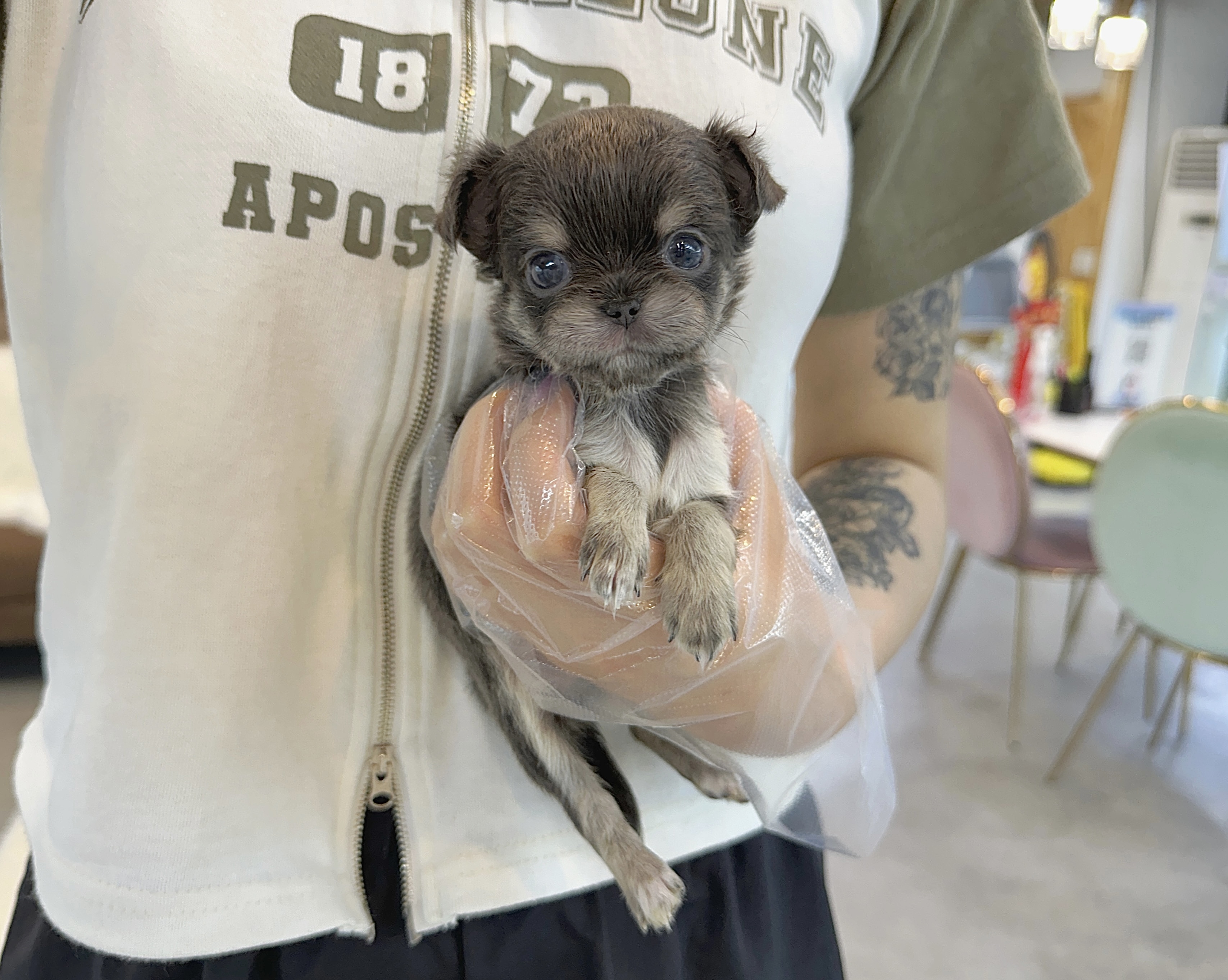 Ȯ�� �̹���