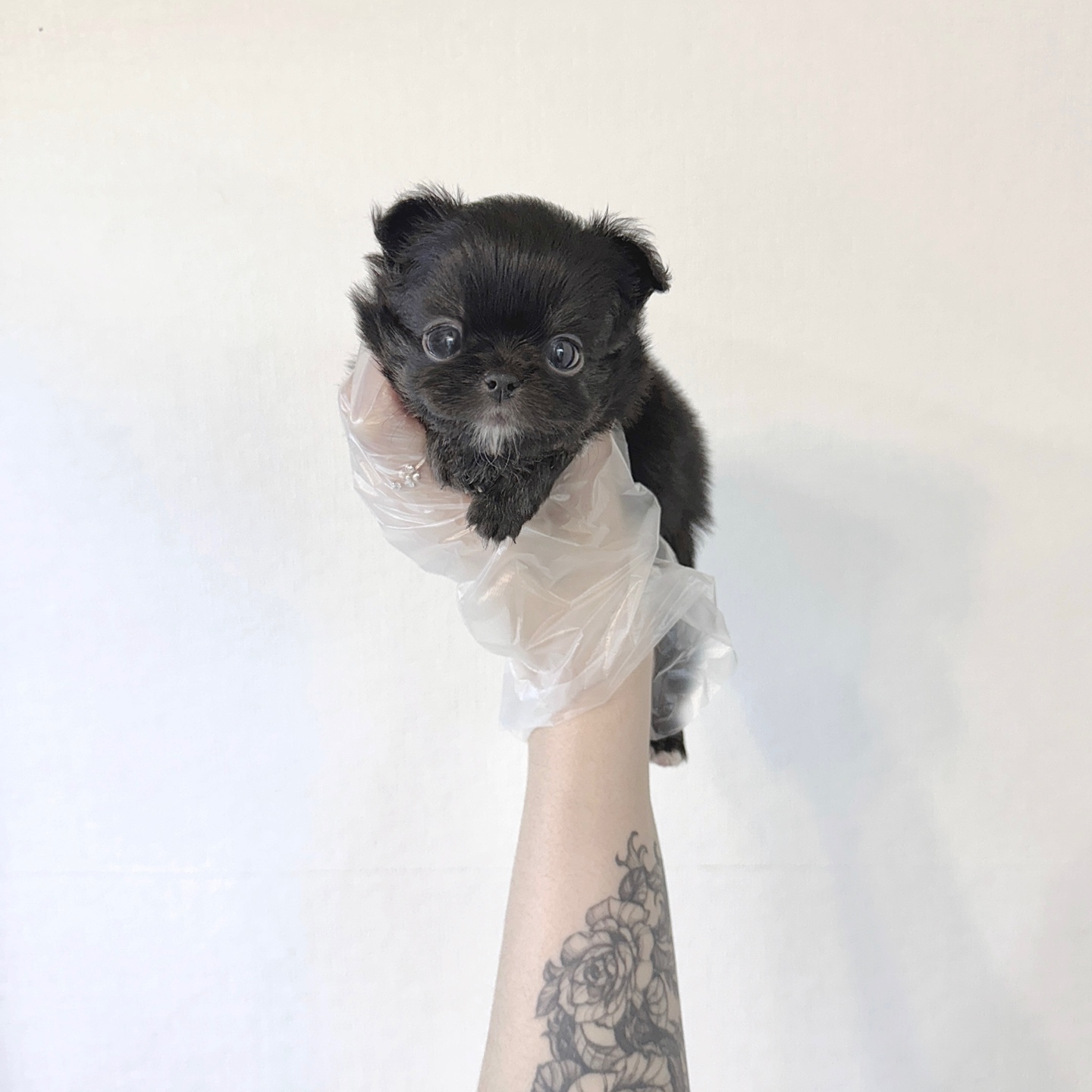 Ȯ�� �̹���