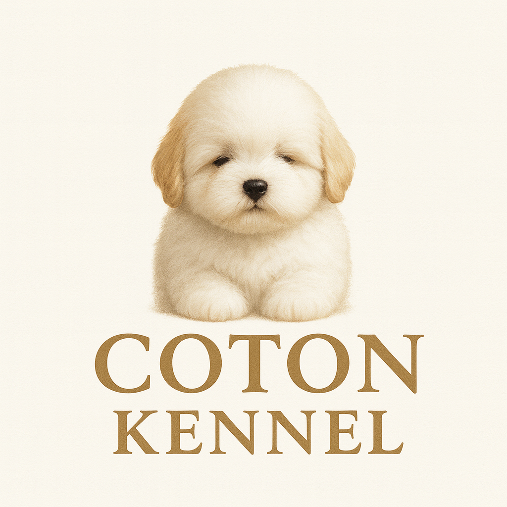 Ȯ�� �̹���