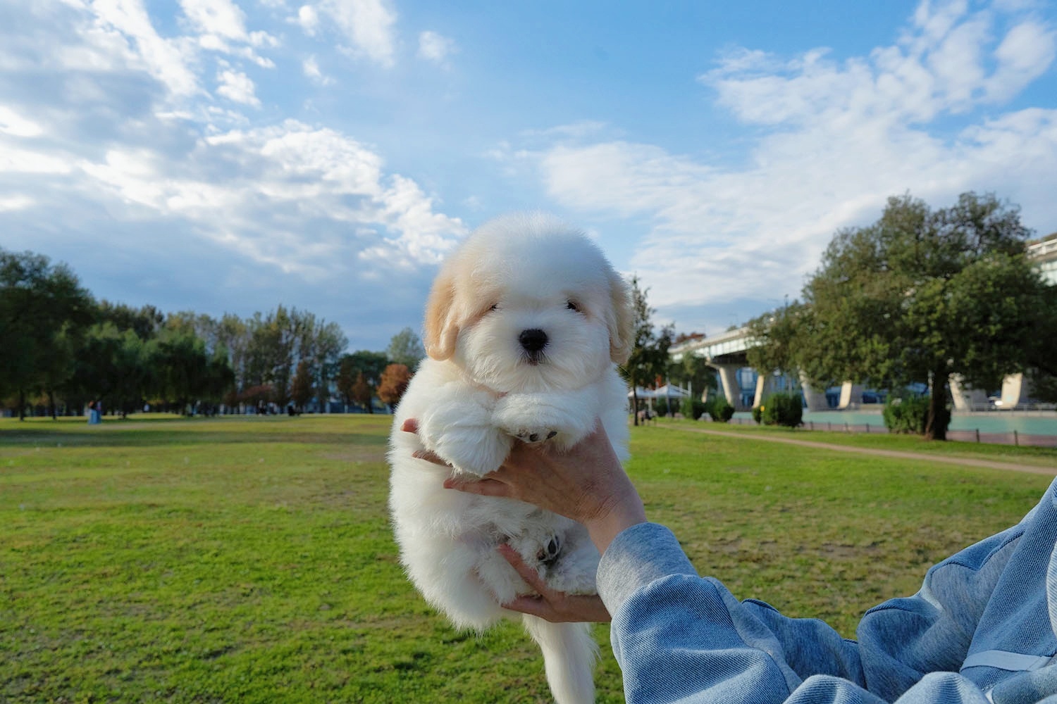 Ȯ�� �̹���