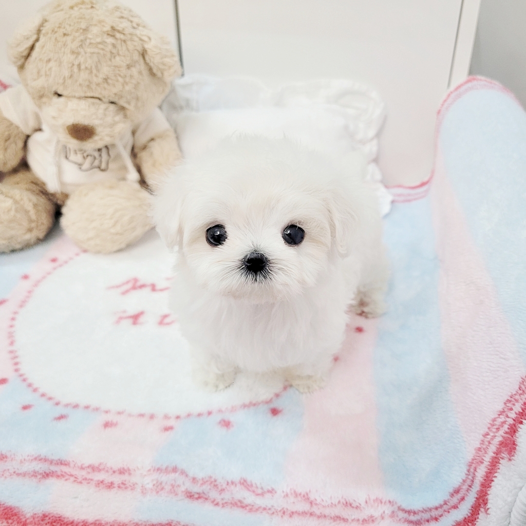 Ȯ�� �̹���