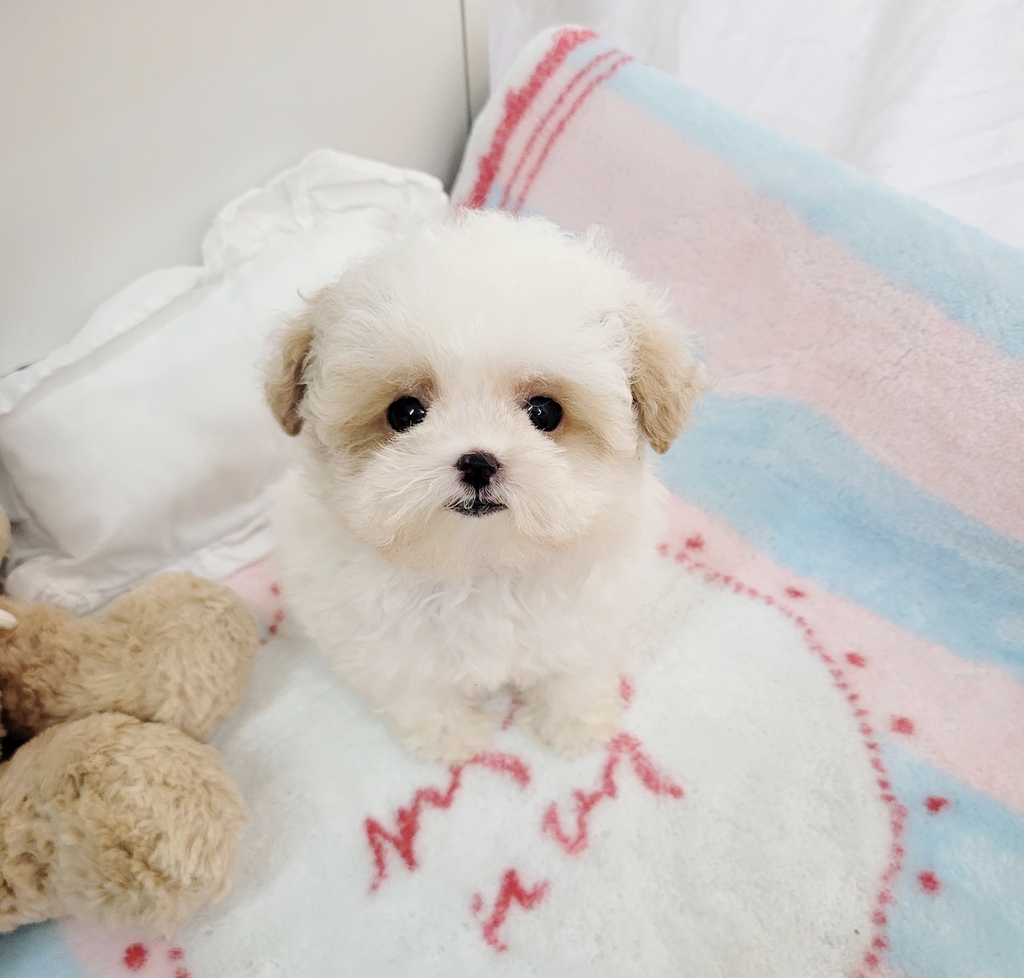 Ȯ�� �̹���