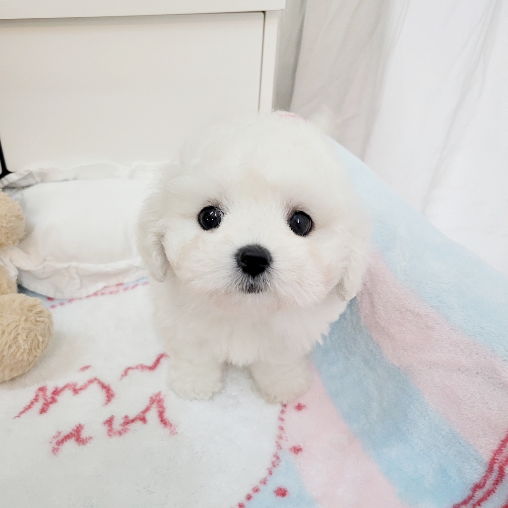 Ȯ�� �̹���