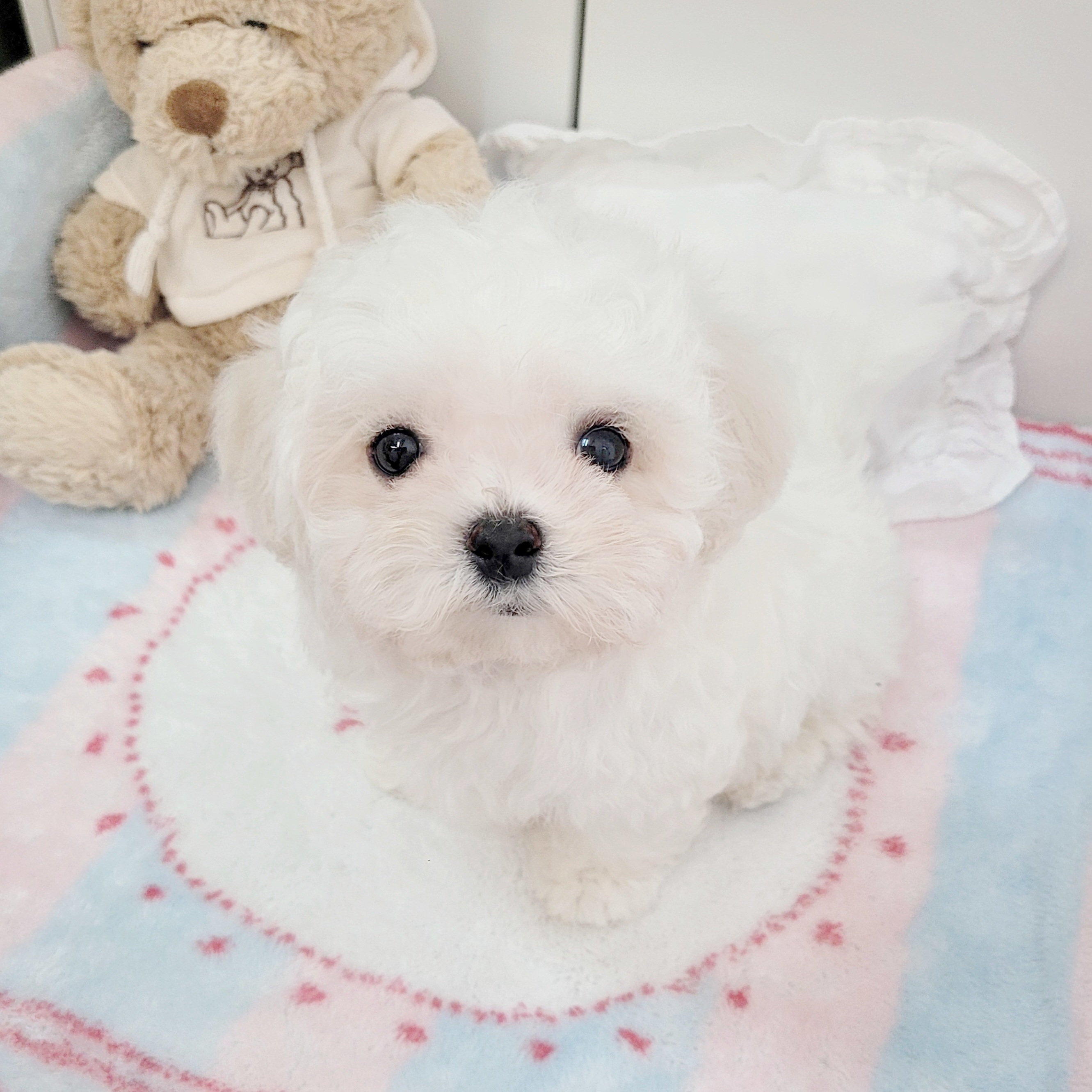 Ȯ�� �̹���