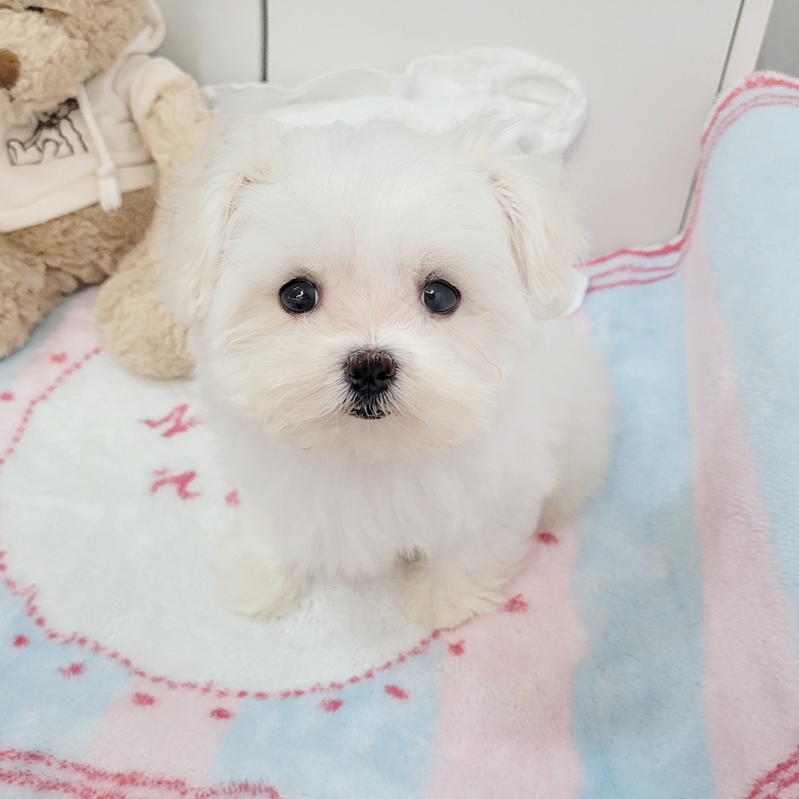 Ȯ�� �̹���