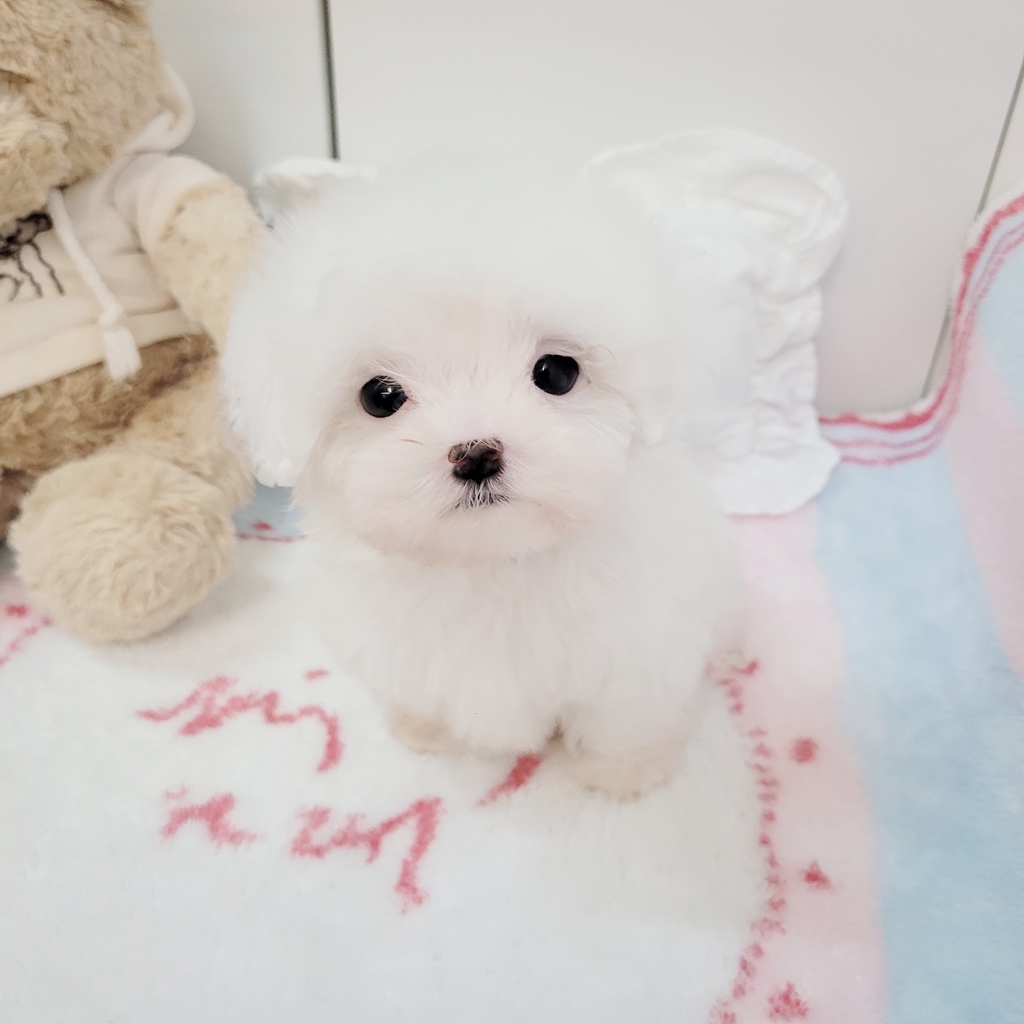 Ȯ�� �̹���