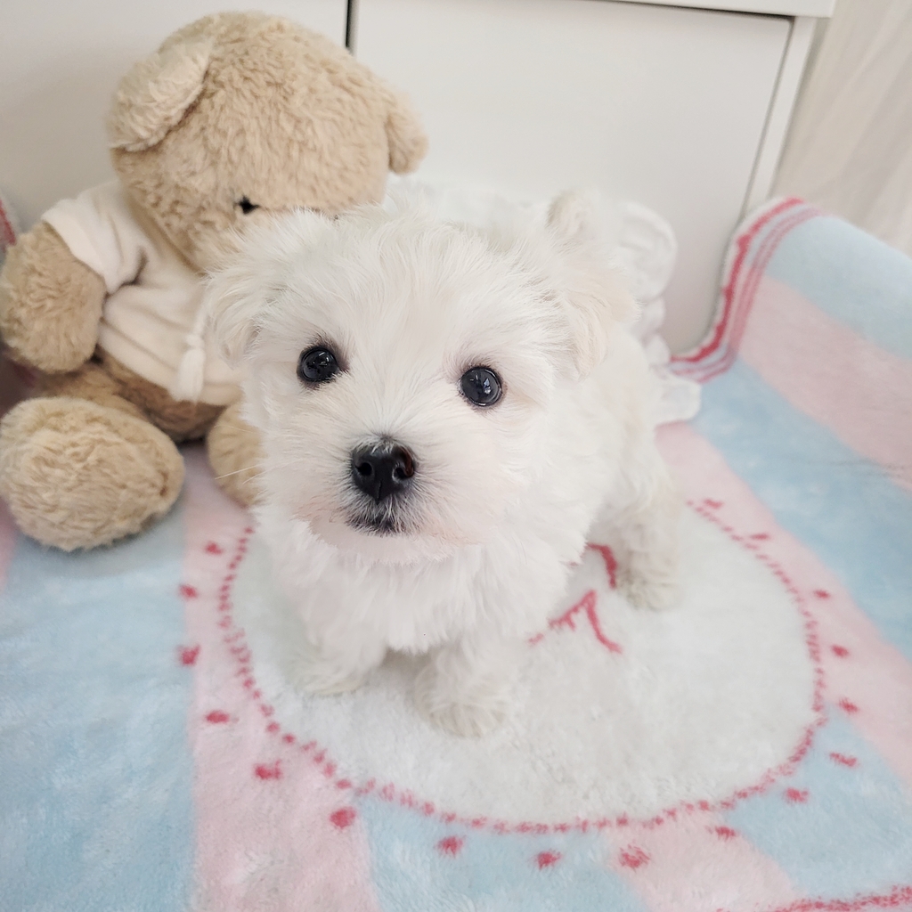 Ȯ�� �̹���