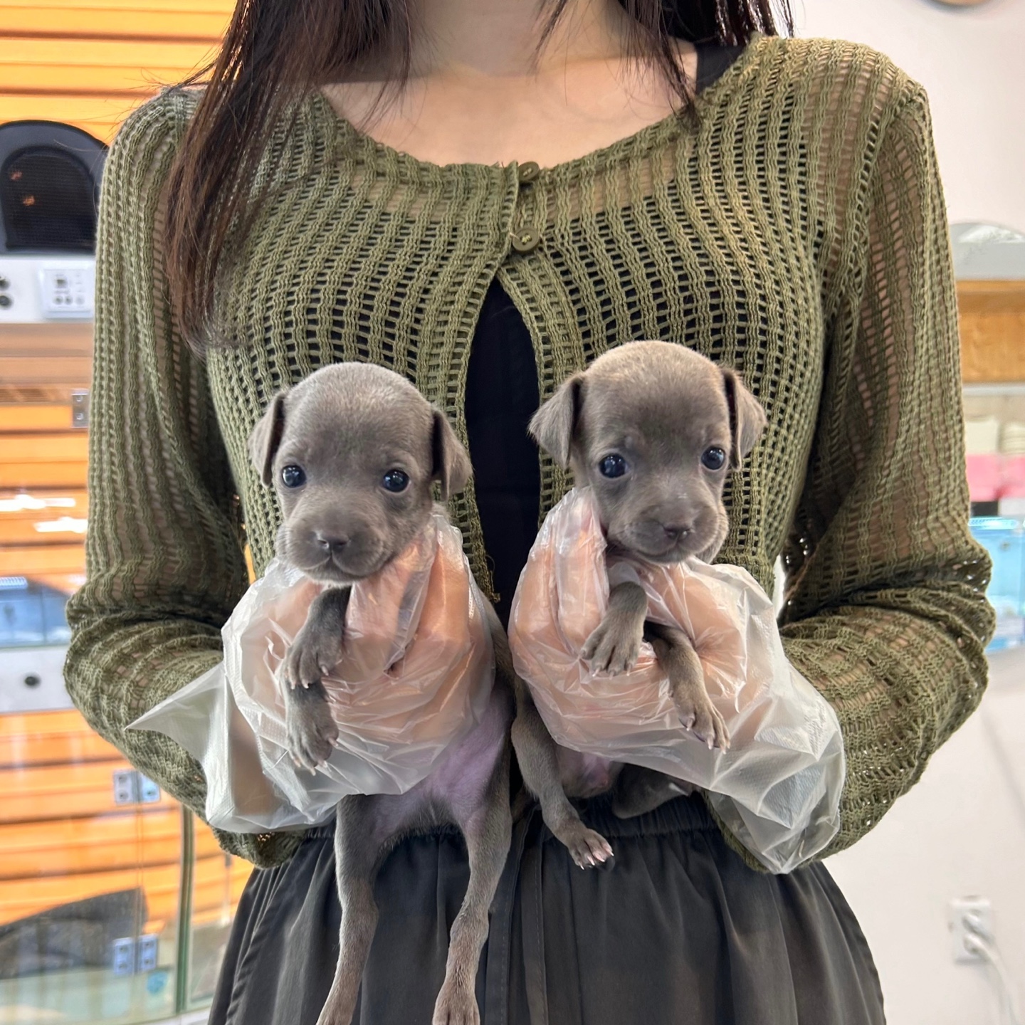 Ȯ�� �̹���