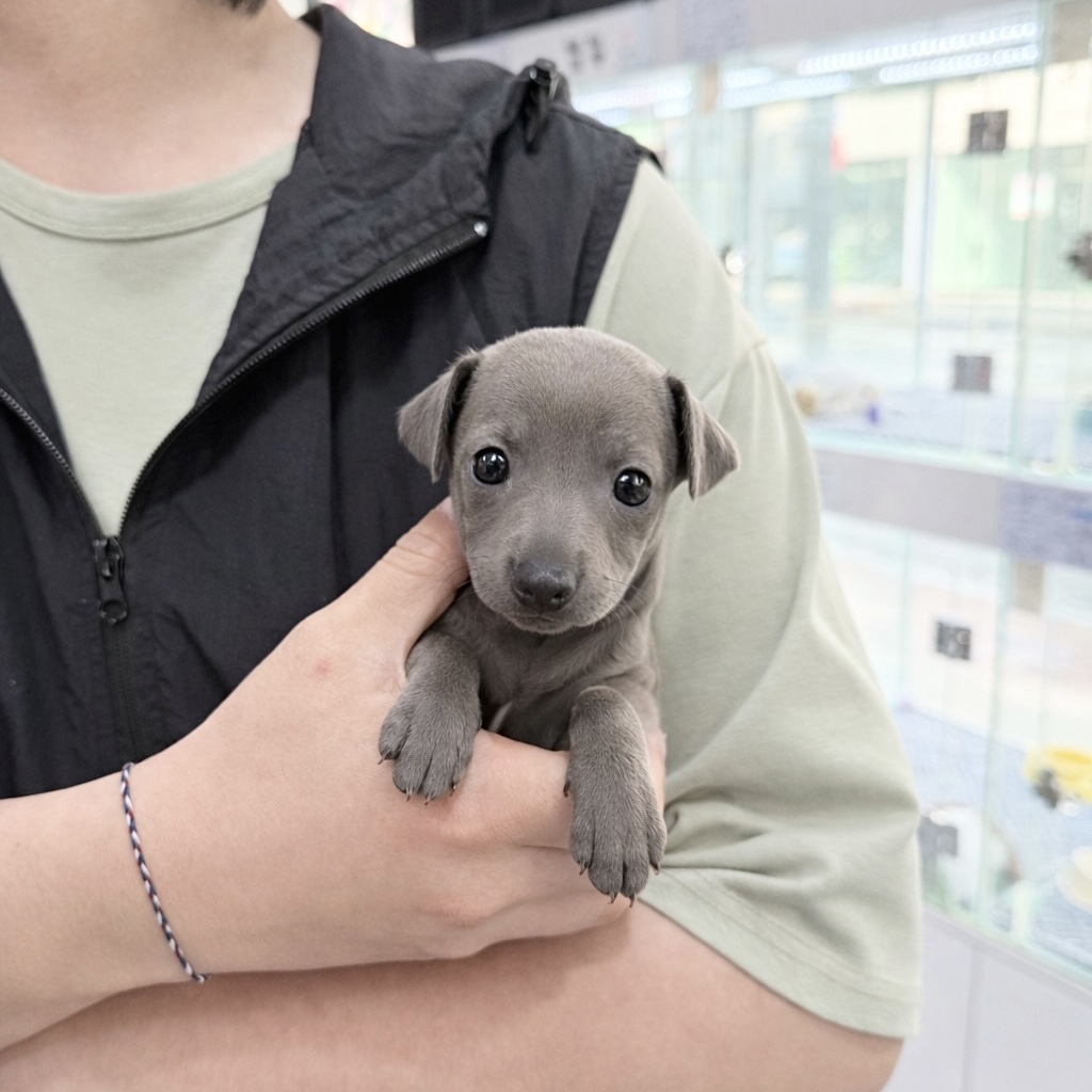 Ȯ�� �̹���