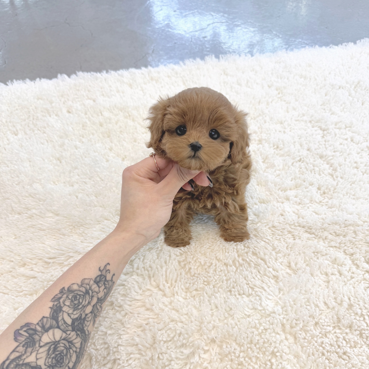 Ȯ�� �̹���