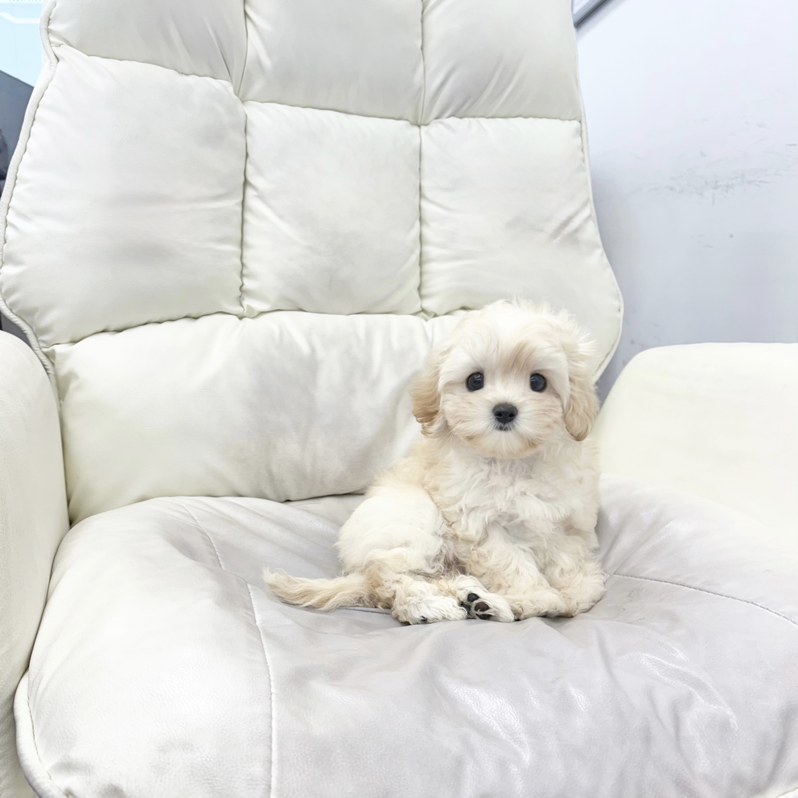 Ȯ�� �̹���