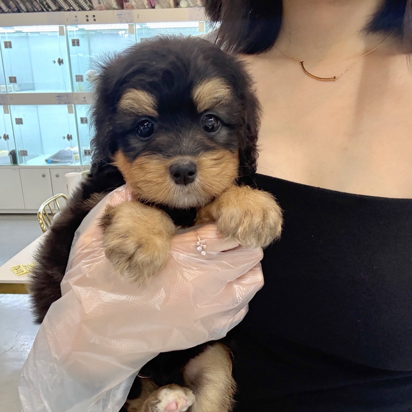 Ȯ�� �̹���