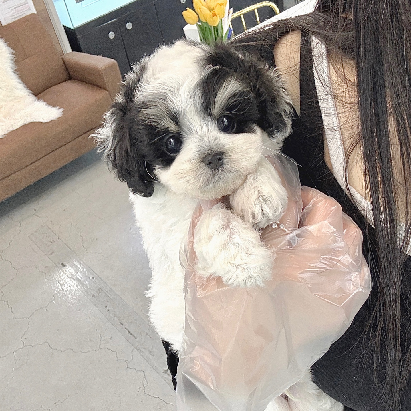 Ȯ�� �̹���