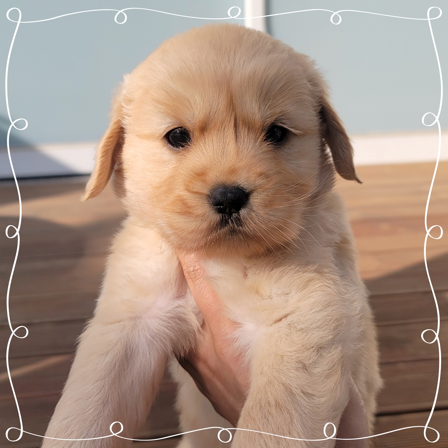 Ȯ�� �̹���