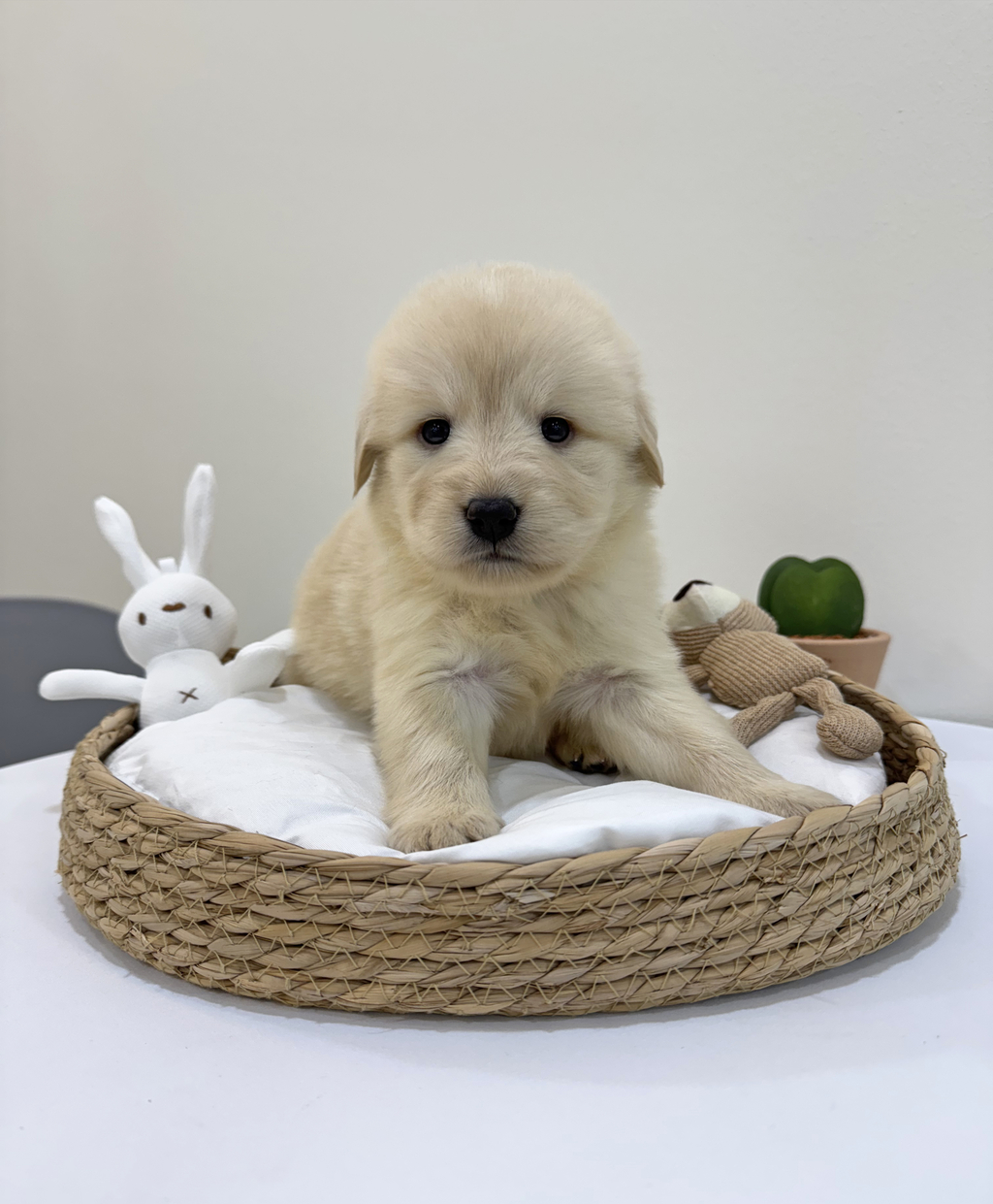 Ȯ�� �̹���