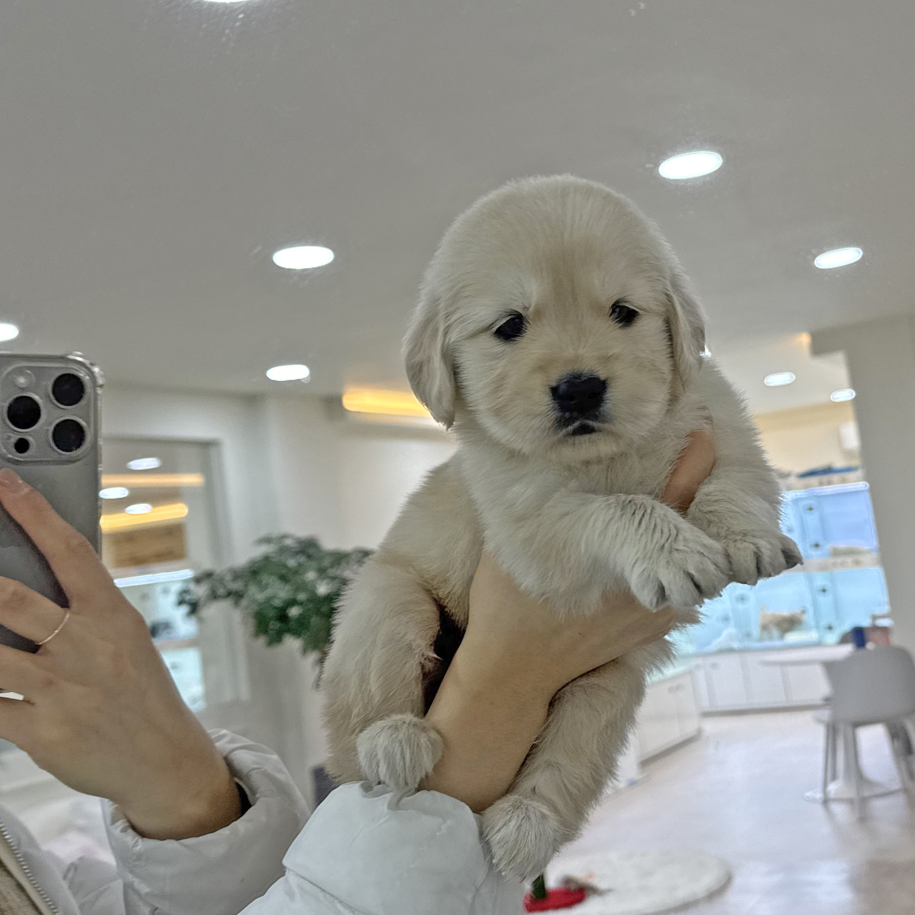 Ȯ�� �̹���