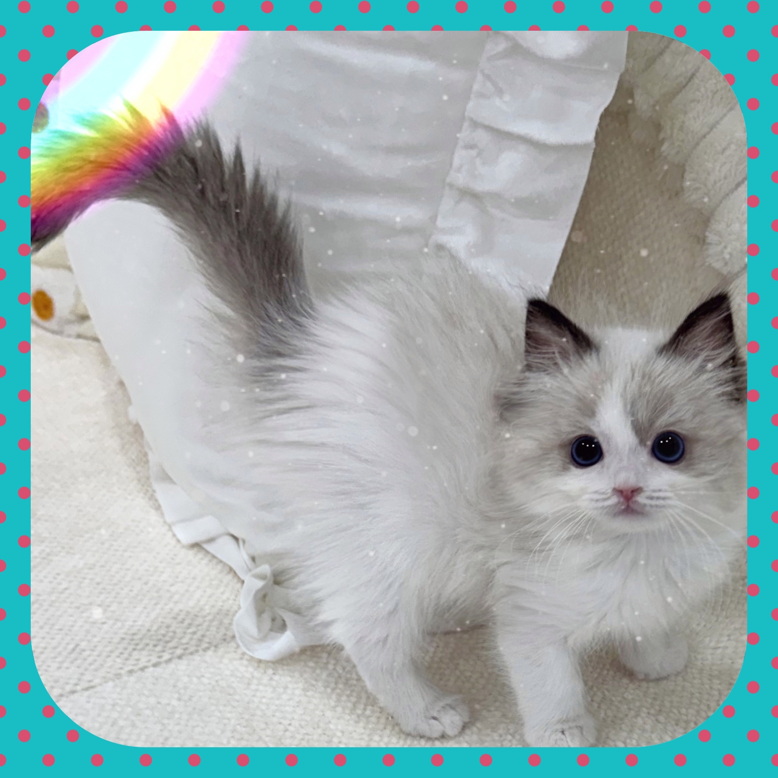 Ȯ�� �̹���