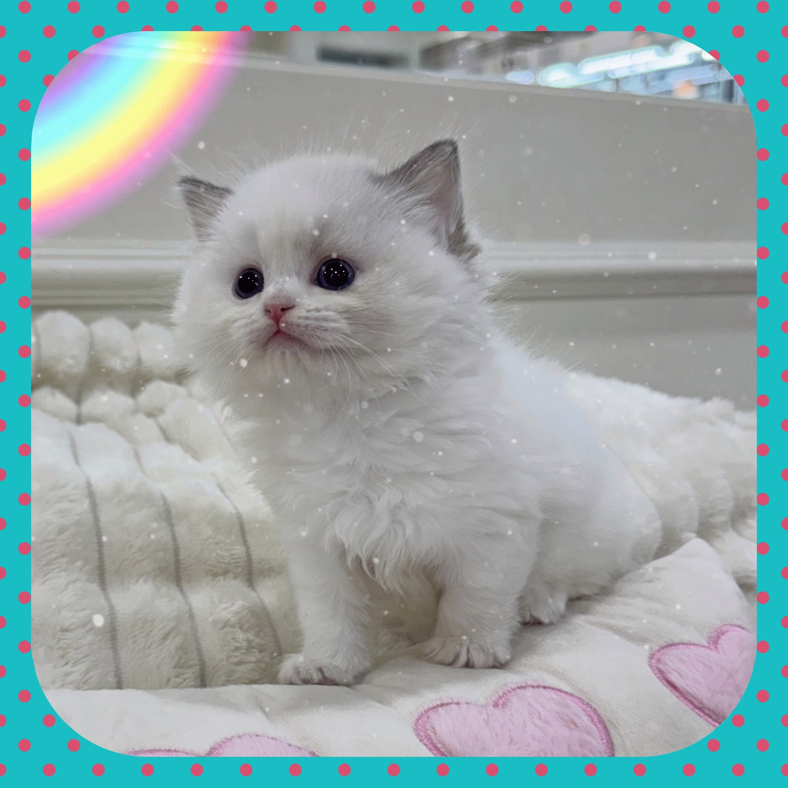 Ȯ�� �̹���