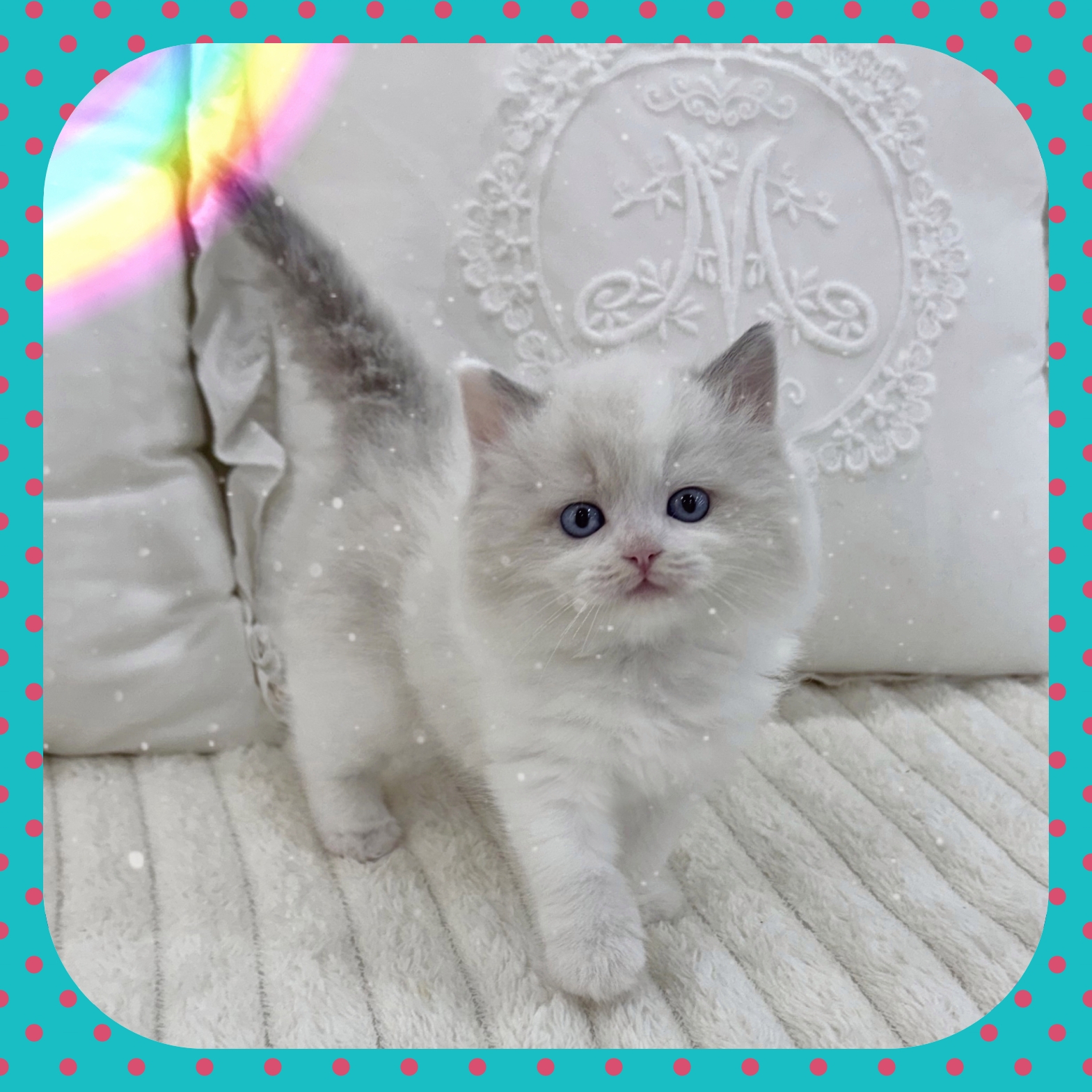 Ȯ�� �̹���