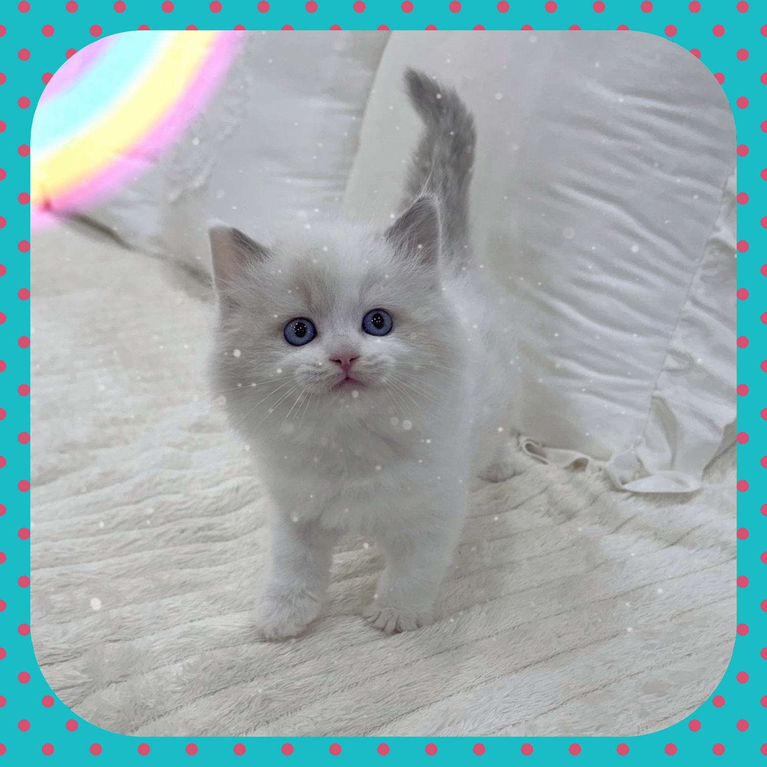 Ȯ�� �̹���