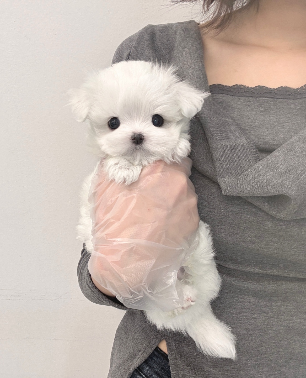 Ȯ�� �̹���